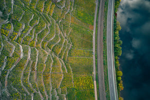 Die Terrassenmosel und wie alles begann